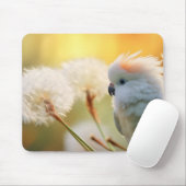 Papegaai Wilde Vogel Dier Tranquil Peace Muismat (Met muis)