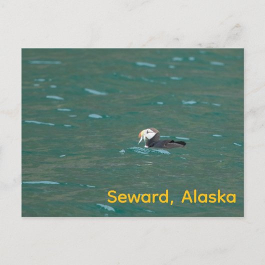 Papegaaiduiker die vis eet feestdagenkaart (Voorkant)