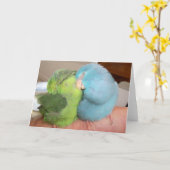 Papegaaiduiker houdt van vogels 'veilig in je arme kaart (Gele Bloem)