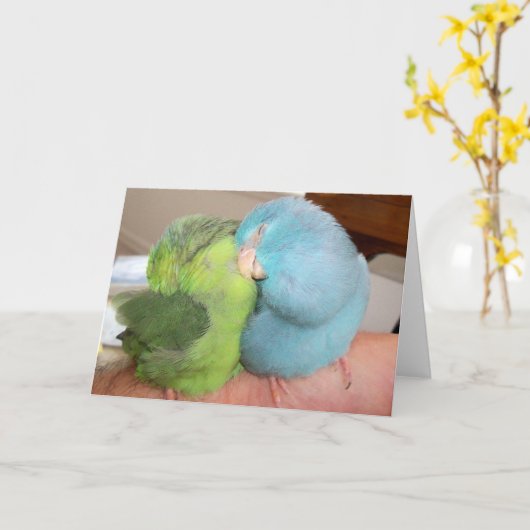 Papegaaiduiker houdt van vogels 'veilig in je arme kaart (Gele Bloem)