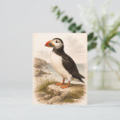 Papegaaiduiker-illustratie in vintage stijl briefkaart (Staand voorkant)