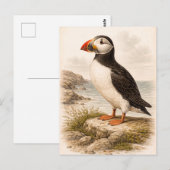 Papegaaiduiker-illustratie in vintage stijl briefkaart (Voorkant / Achterkant)