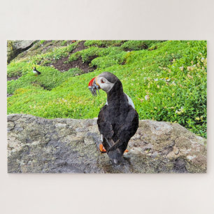 Papegaaiduiker met vis in zijn snavel, Ierland Legpuzzel