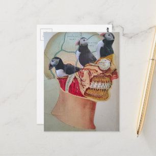 Papegaaiduikers in het hoofd Surrealistische mixed Briefkaart