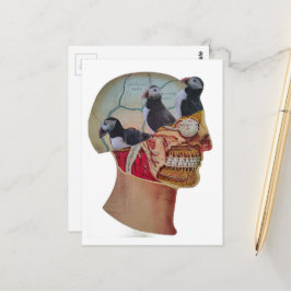 Papegaaiduikers in je brein Surrealistische mixed  Briefkaart