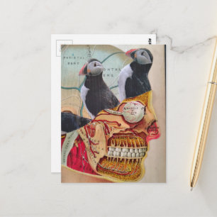 Papegaaiduikers in mijn Brein Surrealistische mixe Briefkaart