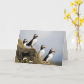 Papegaaiduikers Kaart (Gele Bloem)