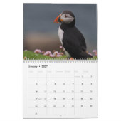 Papegaaiduikers Kalender (Jan 2027)