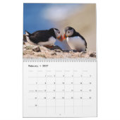 Papegaaiduikers Kalender (Feb 2027)