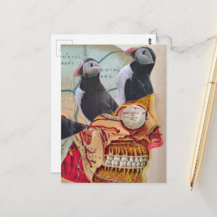 Papegaaiduikers op de Hersenen Surrealistische mix Briefkaart