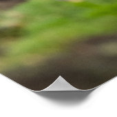 PAPEGAAIDUIKERS - SALTEE EILANDEN, IERLAND POSTER (Hoek)