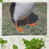 Papegaaiduikster Keukenhanddoek (Gevouwen)