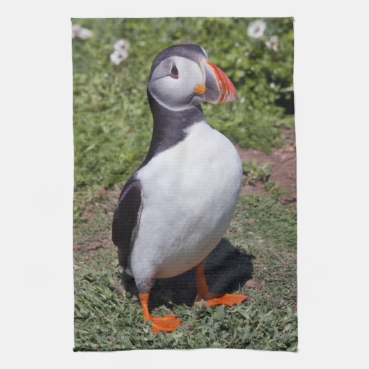 Papegaaiduikster Keukenhanddoek (Verticaal)