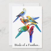 Papegaaien Feest Uitnodiging (Voorkant)