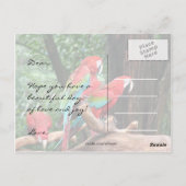 Papegaaien Gefeliciteerd Moederdag Briefkaart (Achterkant)