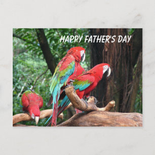 Papegaaien Gefeliciteerd Vaderdag Briefkaart
