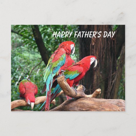 Papegaaien Gefeliciteerd Vaderdag Briefkaart (Voorkant)