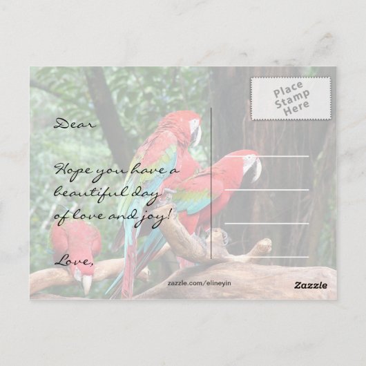 Papegaaien Happy Mather's Day Briefkaart (Achterkant)