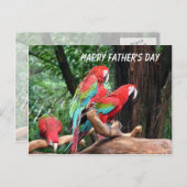Papegaaien Happy Vaderdag Briefkaart (Voorkant / Achterkant)