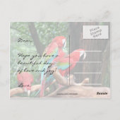 Papegaaien Happy Vaderdag Briefkaart (Achterkant)