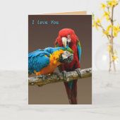 Papegaaien houden van goud en blauwe ara Scarlett  Kaart (Gele Bloem)