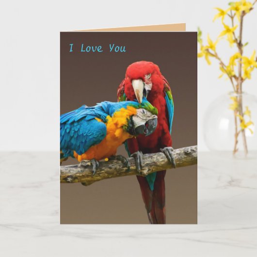 Papegaaien houden van goud en blauwe ara Scarlett  Kaart (Gele Bloem)