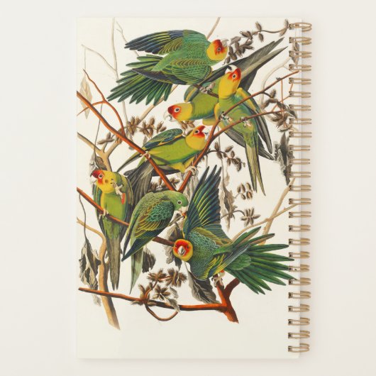  Papegaaien illustratie Bird Lover Gift Planner (Achterkant)