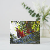 Papegaaien in Palmbomen Briefkaart (Staand voorkant)
