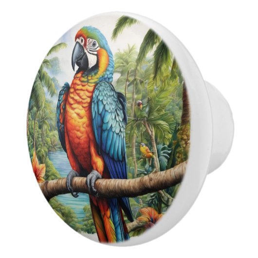 Papegaaien Kleurrijk Tropisch Keramische Knop (Rechts)