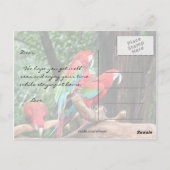 papegaaien krijgen snel een kaart (Achterkant)