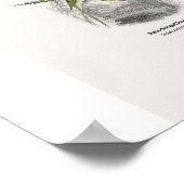 Papegaaien - Naturalist's Library Poster (Hoek)