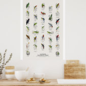 Papegaaien - Naturalist's Library Poster (Keuken)