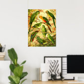 Papegaaien Poster (Thuiskantoor)