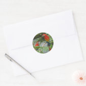 Papegaaien - scarlette ara stickers (Envelop)