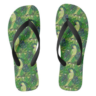 papegaaien teenslippers