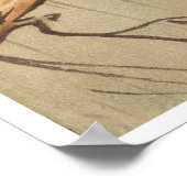 Papegaaien Tropische Vogels Kleurrijk Poster (Hoek)