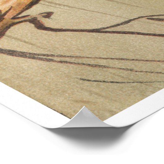 Papegaaien  Tropische Vogels Kleurrijk Poster (Hoek)