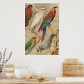 Papegaaien  Tropische Vogels Kleurrijk Poster (Keuken)
