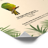 Papegaaien van de wereld - Australië Poster (Hoek)