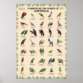 Papegaaien van de wereld - Australië Poster