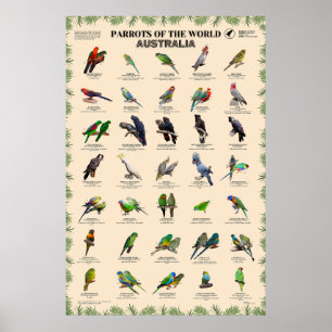Papegaaien van de wereld - Australië Poster