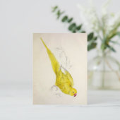  papegaaien, vogelillustratie, Bohemen Briefkaart (Staand voorkant)