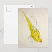  papegaaien, vogelillustratie, Bohemen Briefkaart (Voorkant / Achterkant)