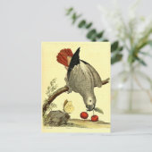  papegaaien, vogelillustratie, Bohemen Briefkaart (Staand voorkant)