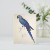  papegaaien, vogelillustratie, Bohemen Briefkaart (Staand voorkant)