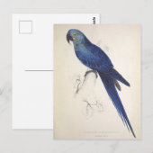  papegaaien, vogelillustratie, Bohemen Briefkaart (Voorkant / Achterkant)