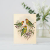  papegaaien, vogelillustratie, Bohemen Briefkaart (Staand voorkant)