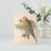papegaaien, vogelillustratie, Bohemen Briefkaart (Staand voorkant)
