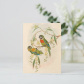  papegaaien, vogelillustratie, Bohemen Post Briefkaart (Staand voorkant)