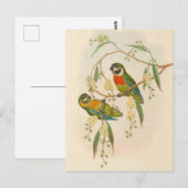  papegaaien, vogelillustratie, Bohemen Post Briefkaart (Voorkant / Achterkant)